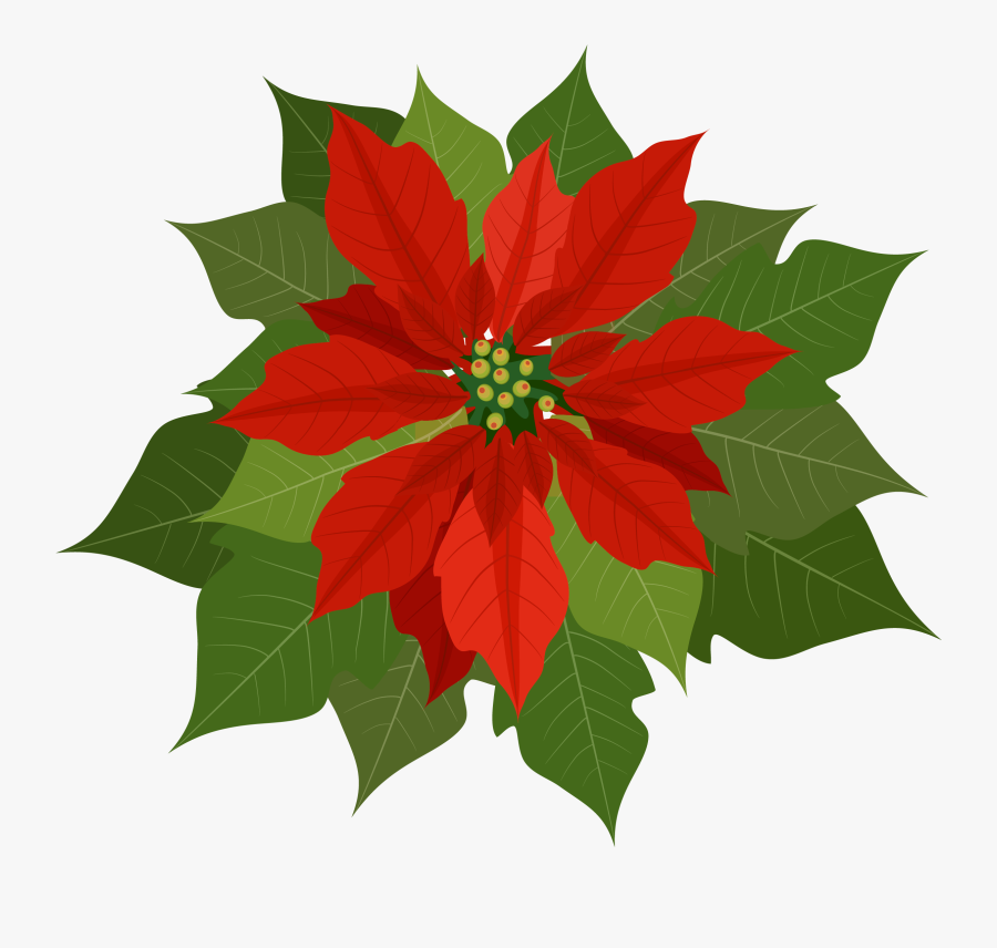 Poinsettia Clipart Christmas Craft - Poinsettia Png, Transparent Clipart