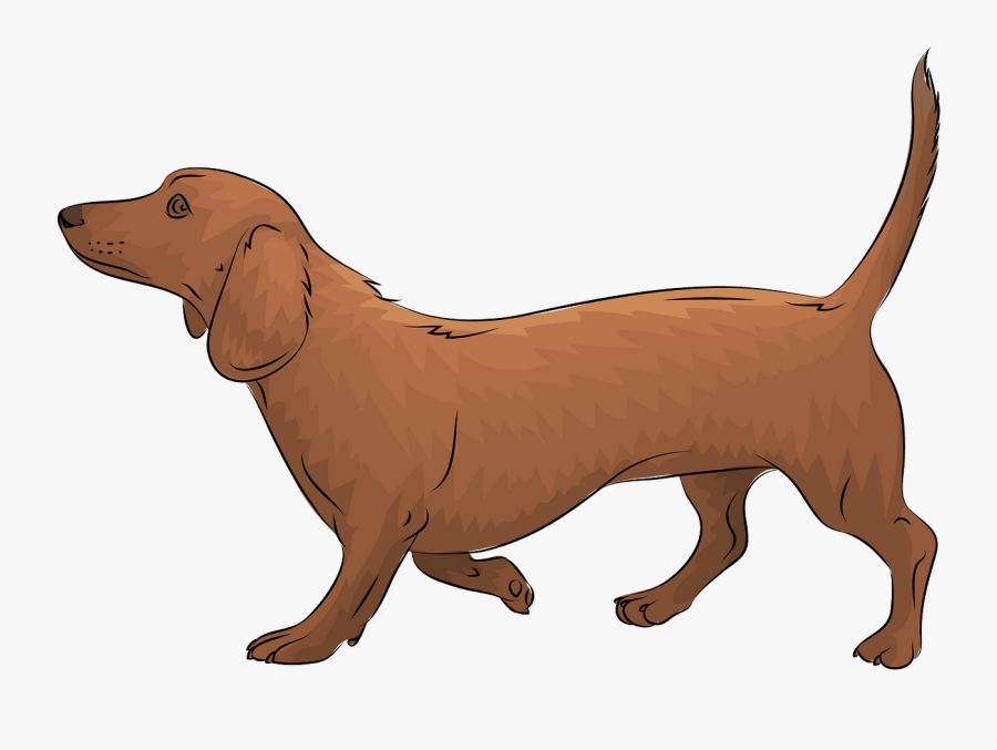 Dachshund, Transparent Clipart