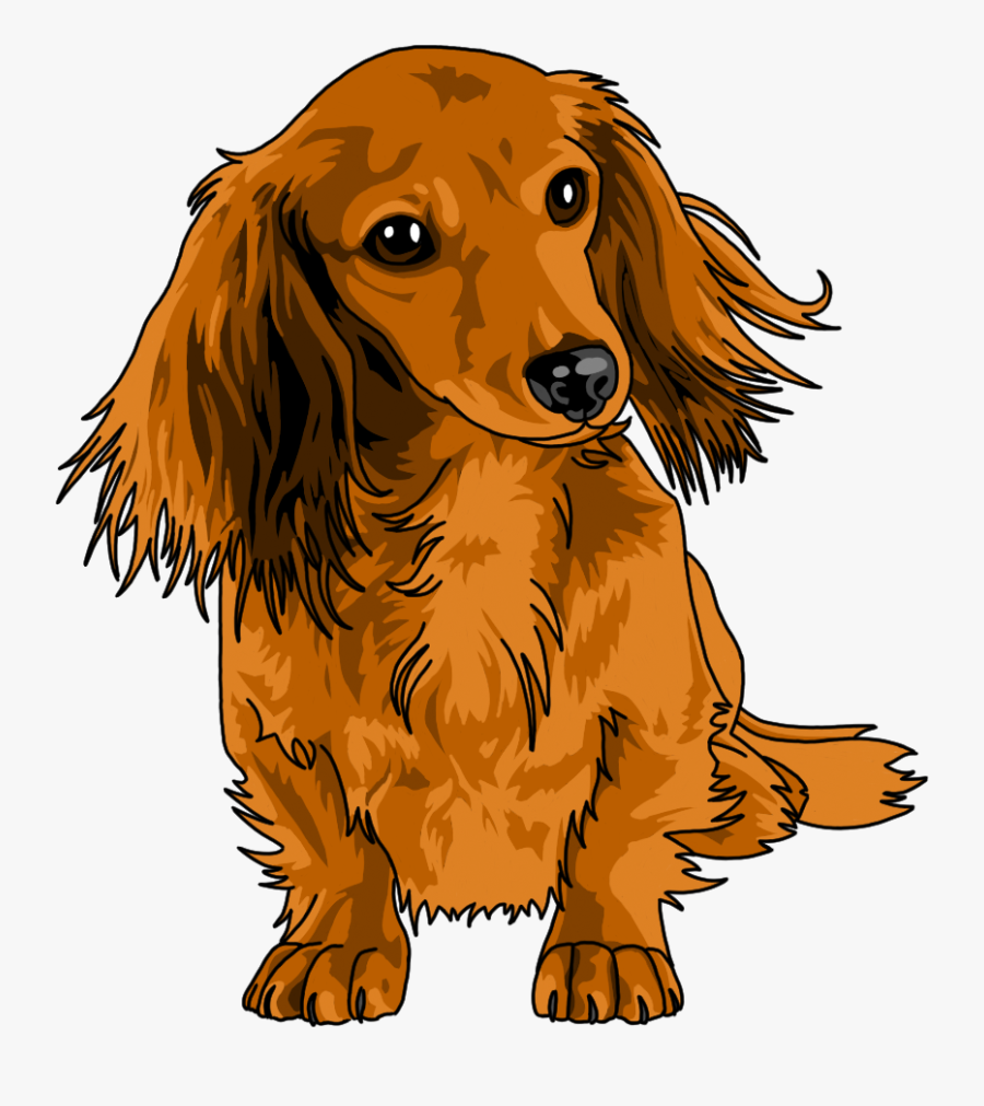 Carissa For My Pup Long Haired Dachshund Clipart , Free