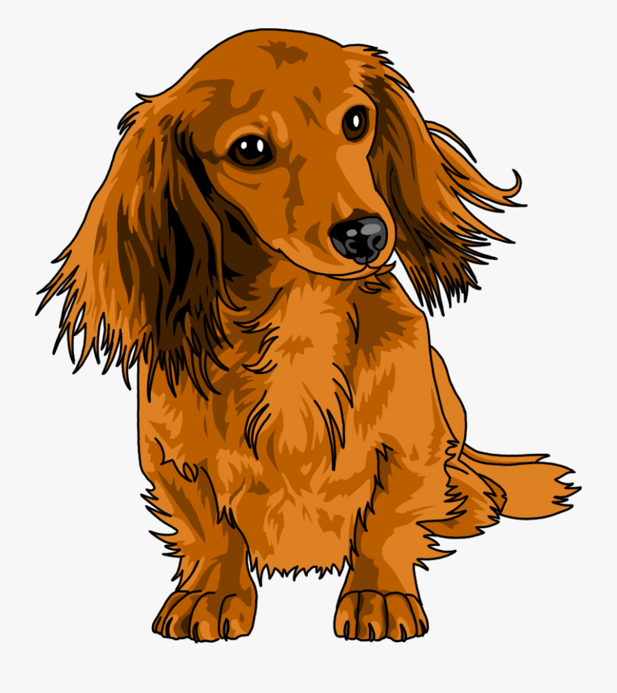 Carissa For My Pup - Long Haired Dachshund Clipart, Transparent Clipart