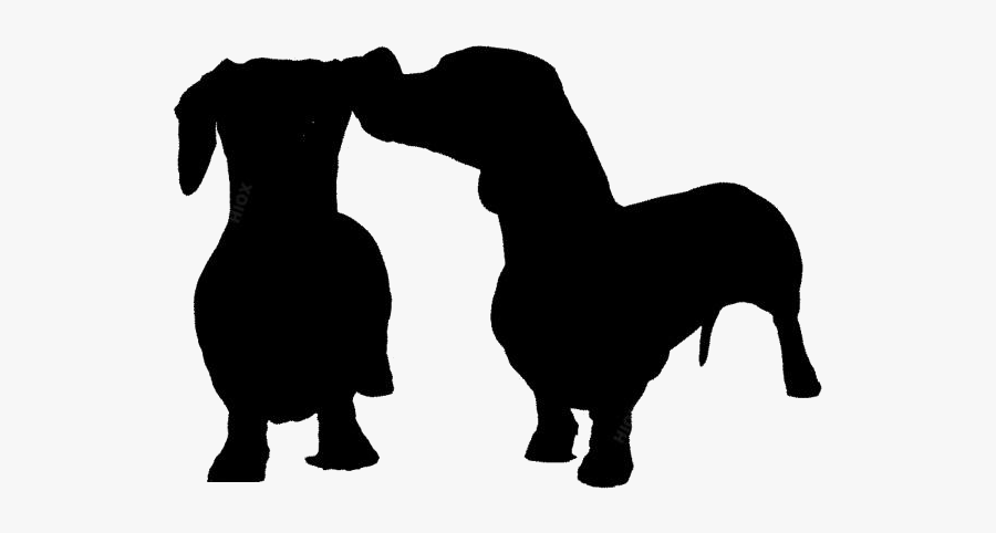 Dachshund Hd Png Clipart Download - Dogs Which Are Small In Size, Transparent Clipart