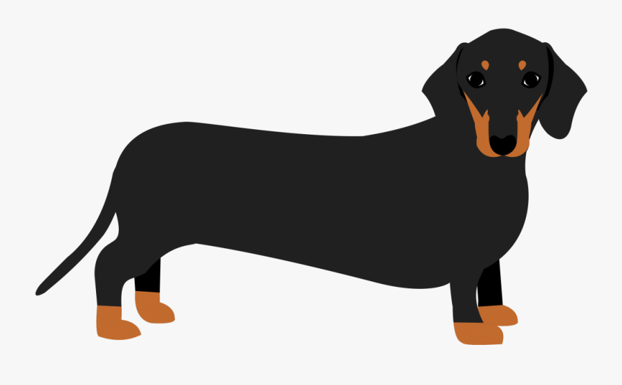 Dachshund Png - Dachshund - Winnie Dog Png, Transparent Clipart