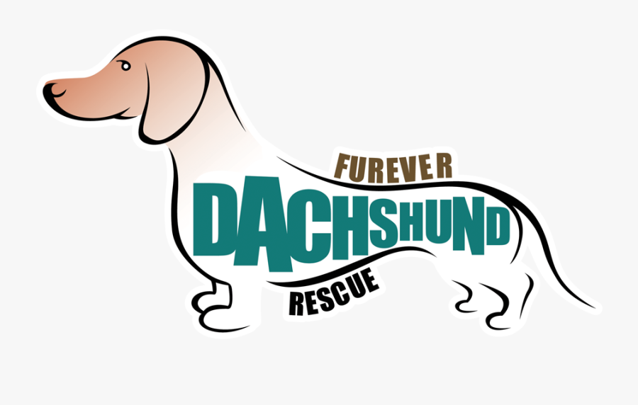 Transparent Weiner Dog Clipart - Scent Hound, Transparent Clipart