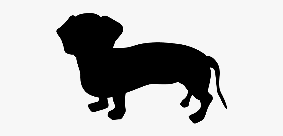 Dachshund, Transparent Clipart
