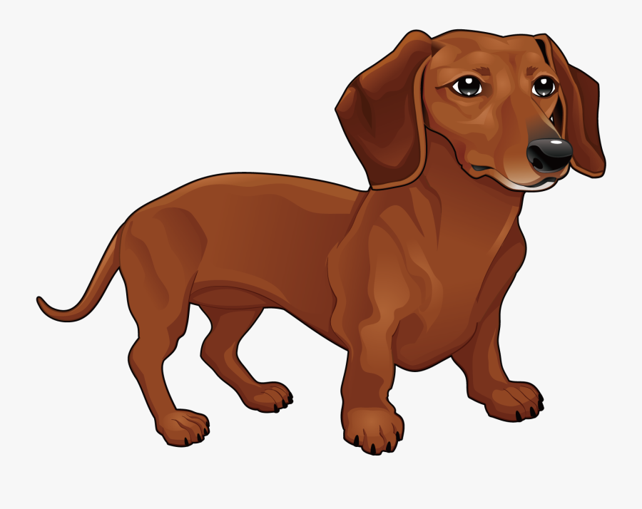 Transparent Dachshund Dog Clipart - Thinking Of You Dachshund, Transparent Clipart