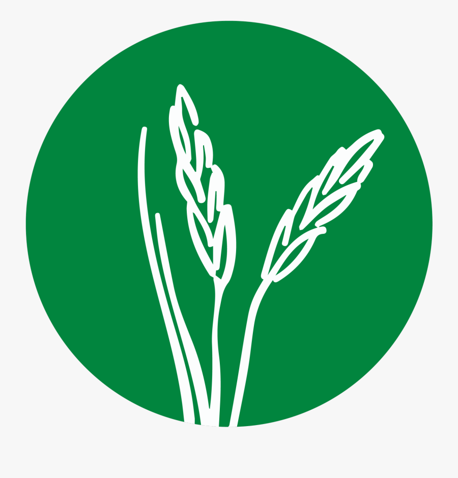 Career Pathway Logos Agriculture & Natural Resources - Sample Logo For Agriculture, Transparent Clipart