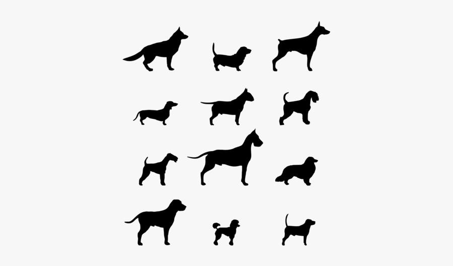 Much To Feed A Dog, Transparent Clipart