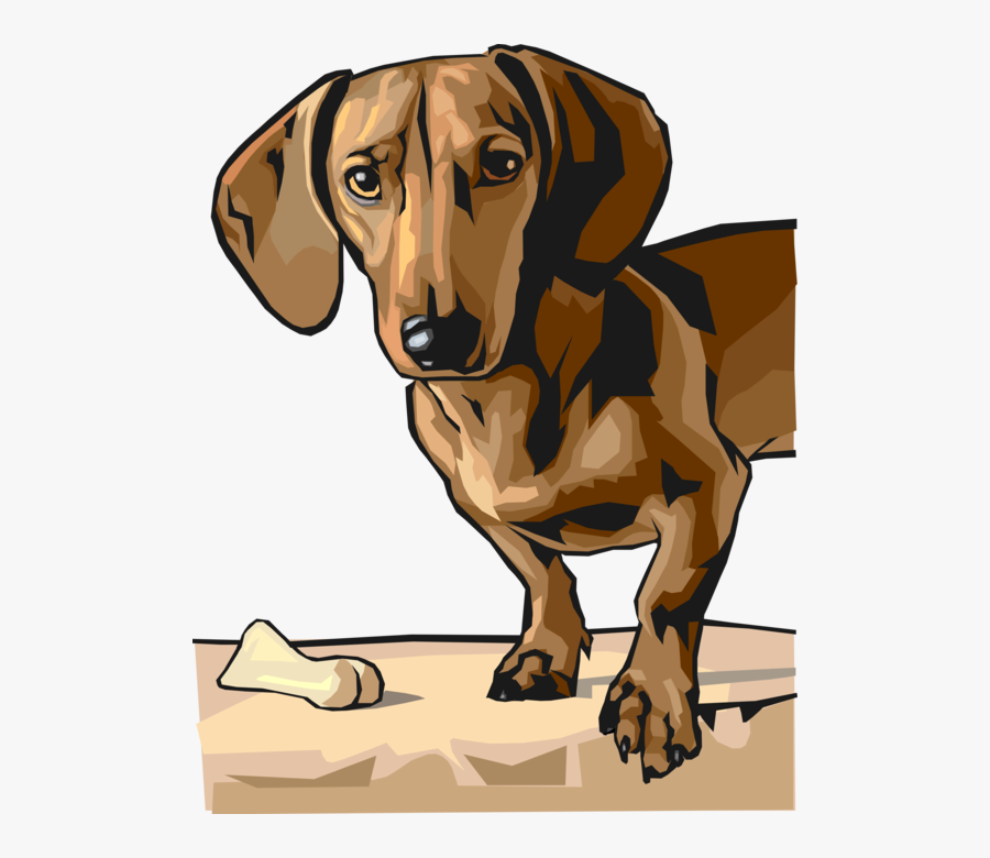 Dachshund Looks At You Image Illustration Of - Ausubel Dog Bell, Transparent Clipart