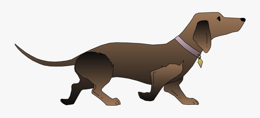 Black, Dog, Pet, Animal, Mammal, Fur, Dachshund, Breed - Dachshund Vector Png, Transparent Clipart