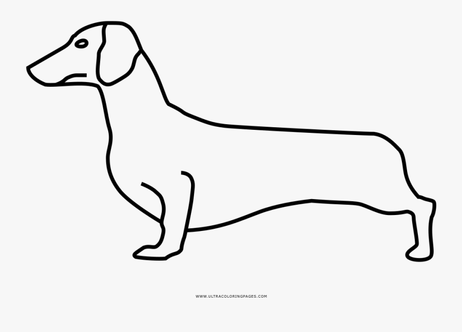 Jpg Freeuse Dachshund Clipart Coloring Page - Dachshund, Transparent Clipart