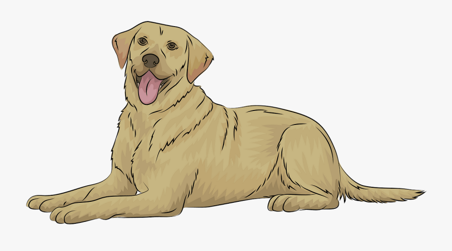 Labrador Retriever Clipart, Transparent Clipart
