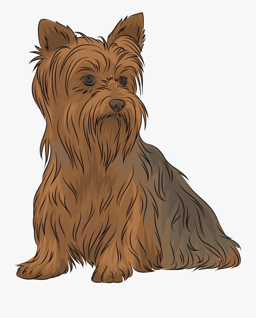 Australian Silky Terrier, Transparent Clipart