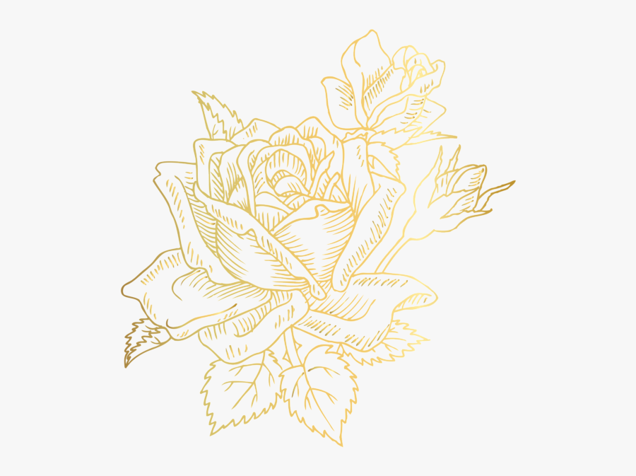 Clipart Rose Rose Gold - Rose Gold Rose Png, Transparent Clipart