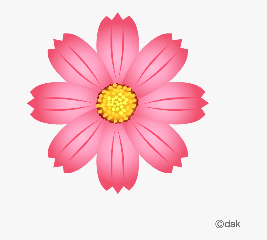 Cosmos Flower｜pictures Of Clipart And Graphic Design - Brain Attack Awareness Month, Transparent Clipart