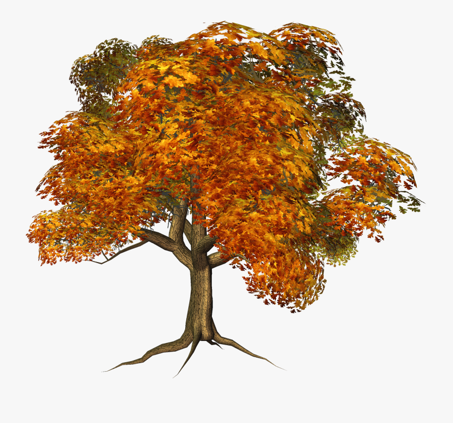 Diversity Clipart Tree - Fall Tree Transparent Background, Transparent Clipart