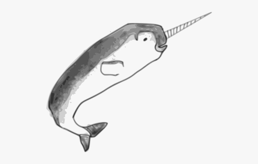 Narwhal, Transparent Clipart