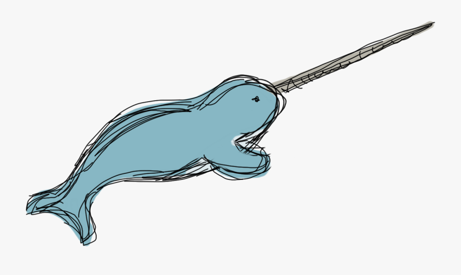 Nadiator Gg Narwhals Unicorns - Narwhal Transparent Background, Transparent Clipart