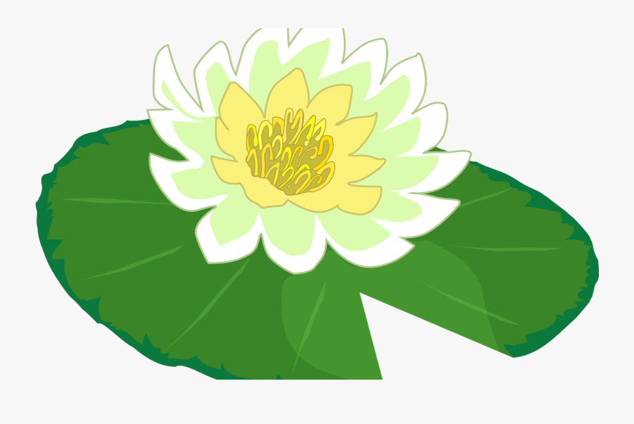 White Flower Water Lily Clipart The Cliparts Png Clipartix - Cartoon Water Lily Flower, Transparent Clipart