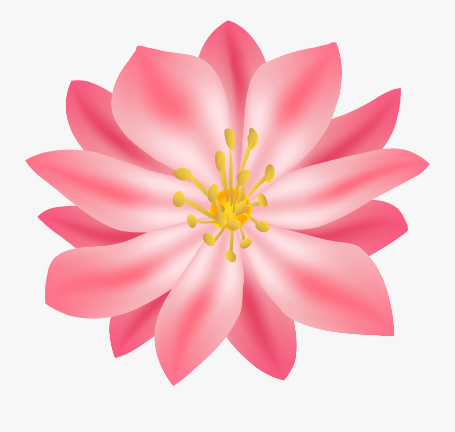 Lily Clipart , Png Download - Lily, Transparent Clipart