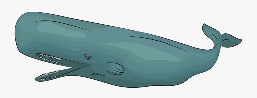 Blue Whale, Transparent Clipart