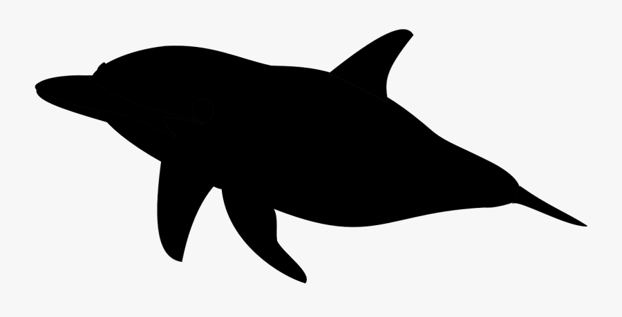 Whale Silhouette Png - Dolphin Transparent Background Black And White, Transparent Clipart