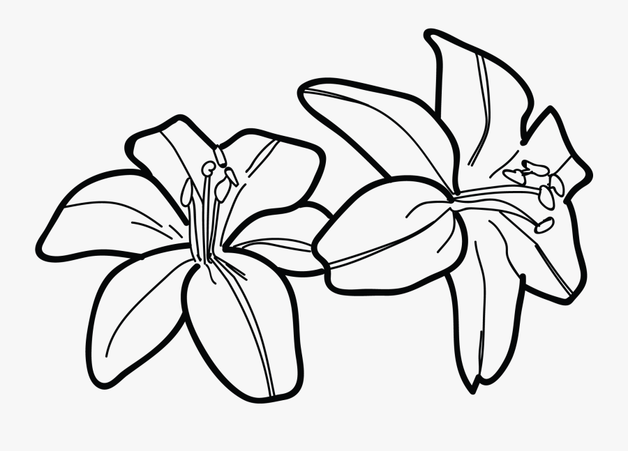 Transparent Lilypad Png - Black And White Lily Clipart, Transparent Clipart