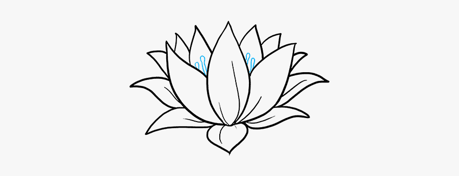 How To Draw A Lotus Flower - Lotus Flower Easy Drawing, Transparent Clipart
