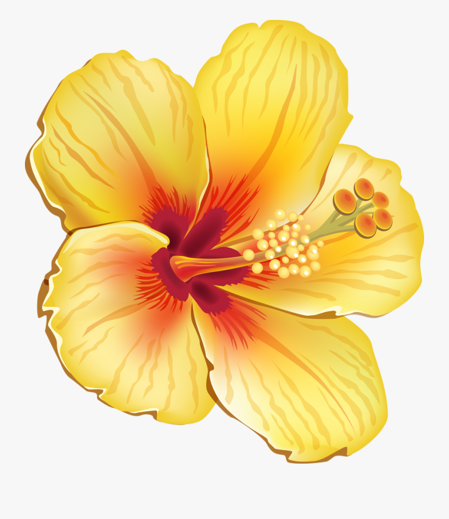 Moana Clipart Orange Tropical Flower - Hawaiian Tropical Flowers Png, Transparent Clipart