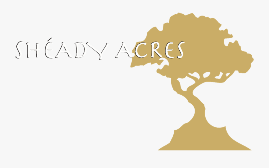 Rental For Jay Peak - Illustration, Transparent Clipart