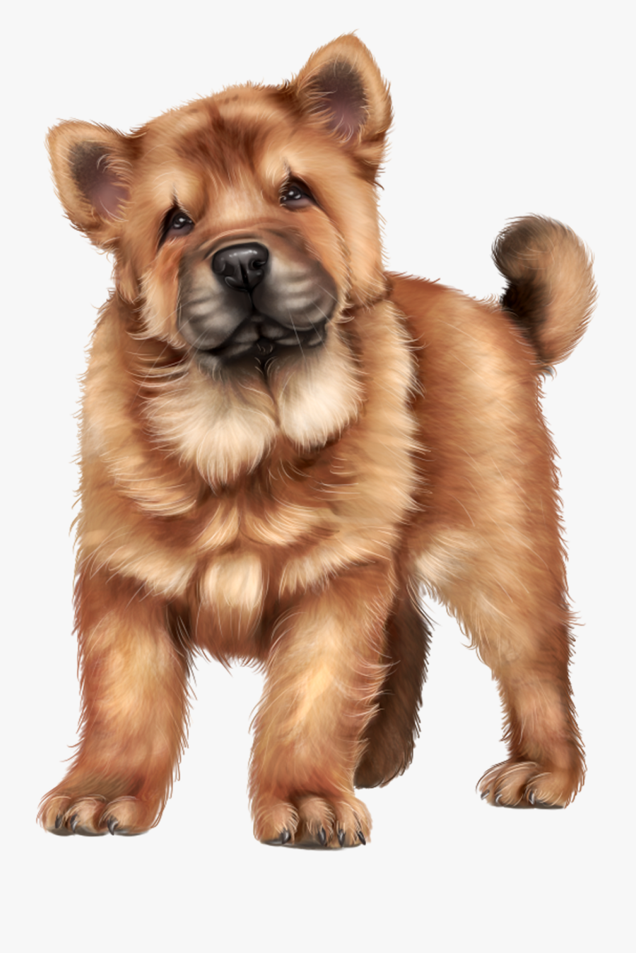 Pets Clipart, Transparent Clipart
