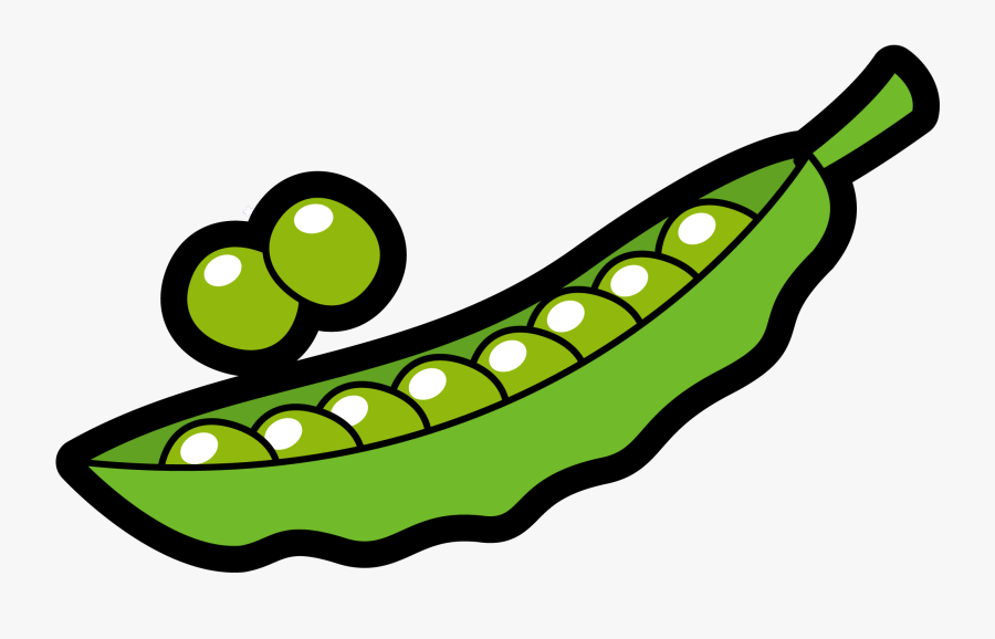 Transparent Bean Plant Png - Peas Clipart, Transparent Clipart