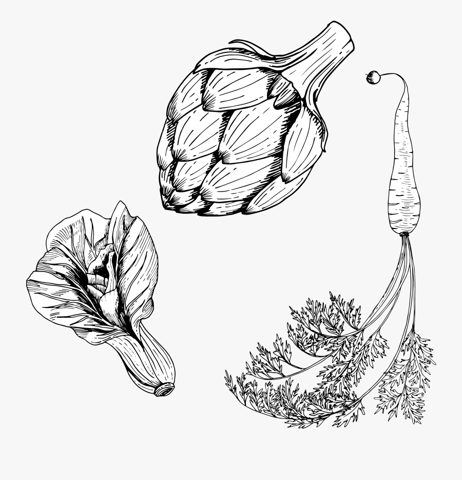 Clip Art Drawing Vegetables - Vegetable Line Art Png, Transparent Clipart