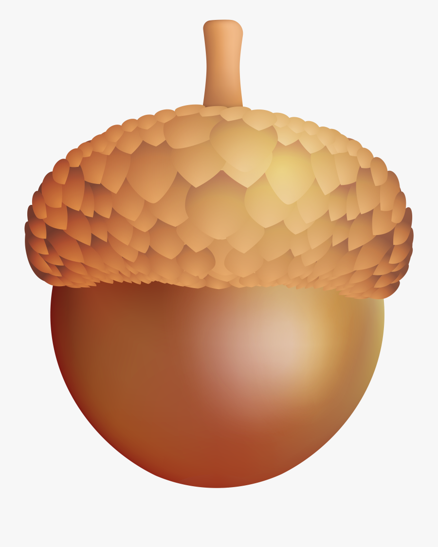 Transparent Background Acorn Clipart - Transparent Background Acorn Clip Art, Transparent Clipart