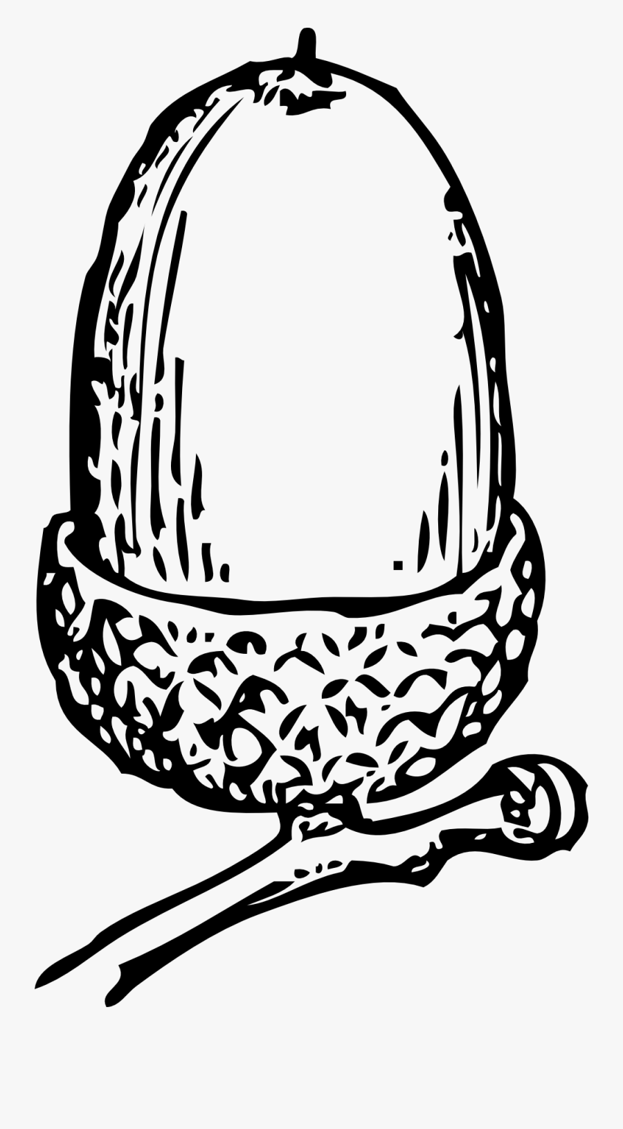 Acorn 1 - Acorn Clip Art, Transparent Clipart
