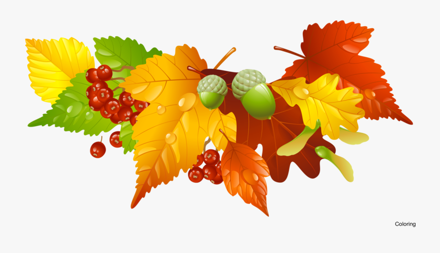 Transparent Fall Leaves Clipart Png - Thanksgiving Wreath Clip Art, Transparent Clipart