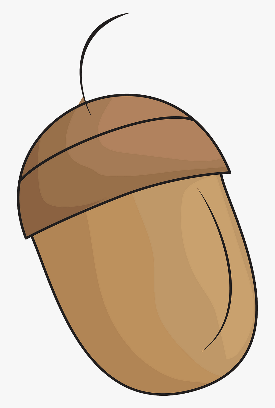 Illustration, Transparent Clipart