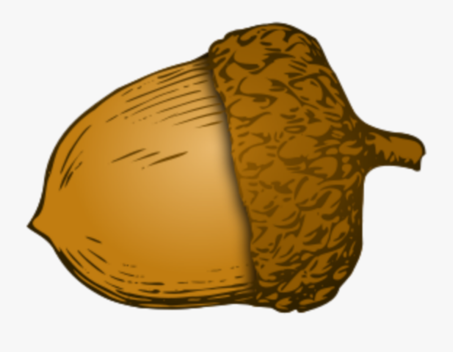 #ftestickers #clipart #fall #autumn #acorn - Transparent Background Acorn Clipart, Transparent Clipart