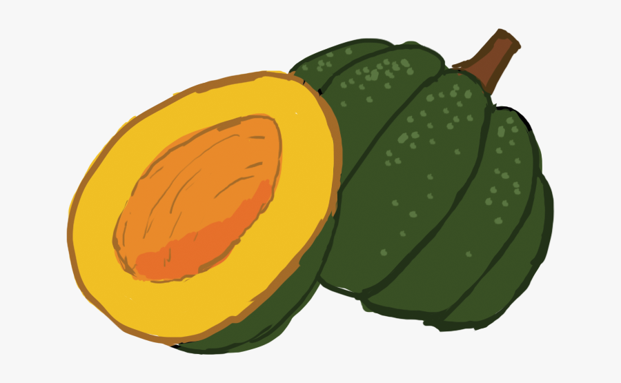 Acorn Squash Clipart, Transparent Clipart