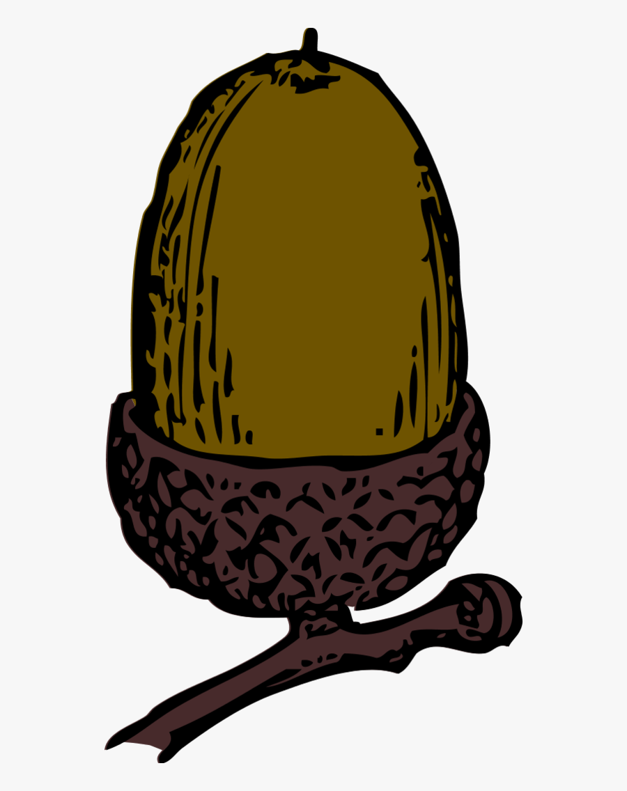 Acorn - Acorn Clip Art, Transparent Clipart