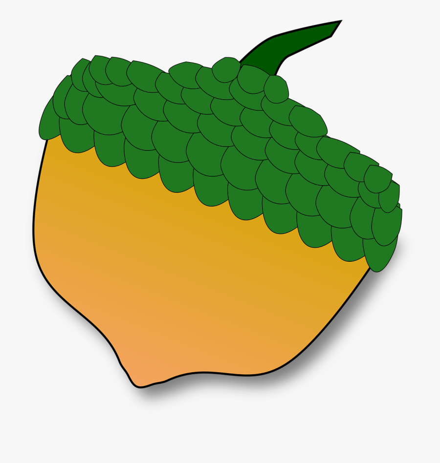 Acorn Clipart - Portable Network Graphics, Transparent Clipart