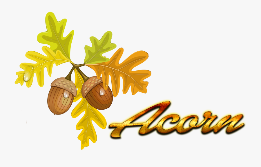 Acorn Autumn Leaf Color Quercus Cerris Clip Art - Transparent Background Fall Clip Art, Transparent Clipart