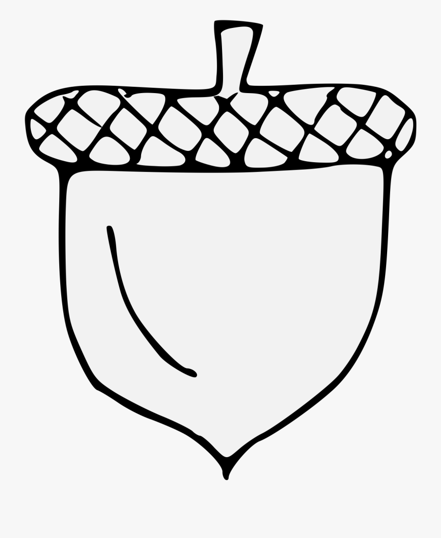 Traceable Acorn, Transparent Clipart