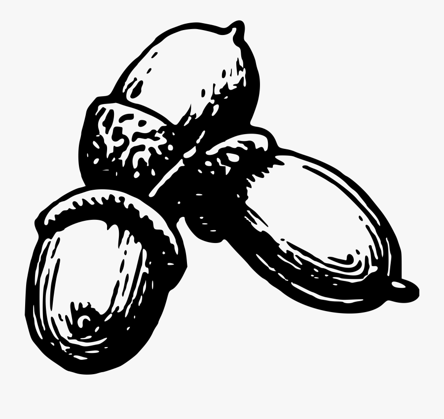 Nuts And Seeds Clipart Black And White, Transparent Clipart