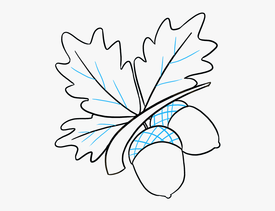 Free Acorn Drawing, Download Free Clip Art, Free Clip - Easy To Draw Acorn, Transparent Clipart