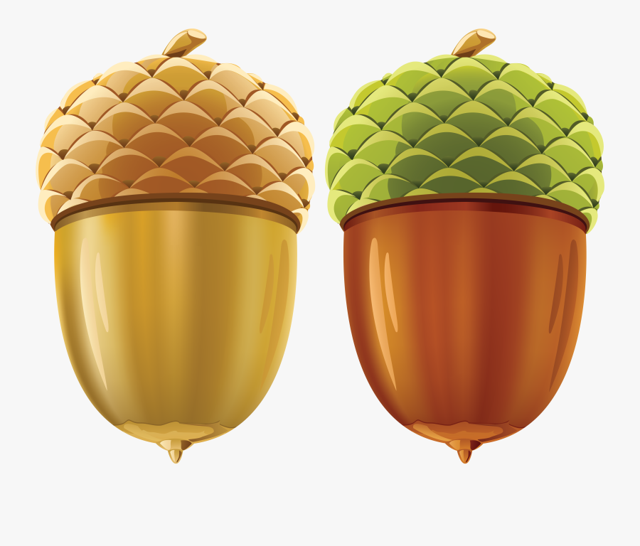 Acorn Png Image - Nuts Vector, Transparent Clipart