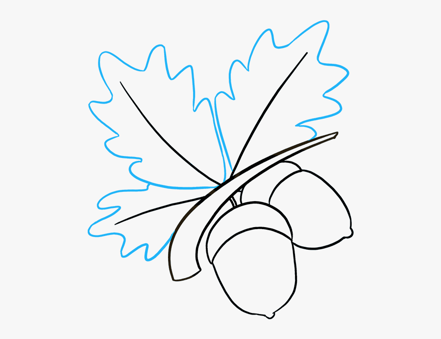 How To Draw Acorns - Line Art, Transparent Clipart