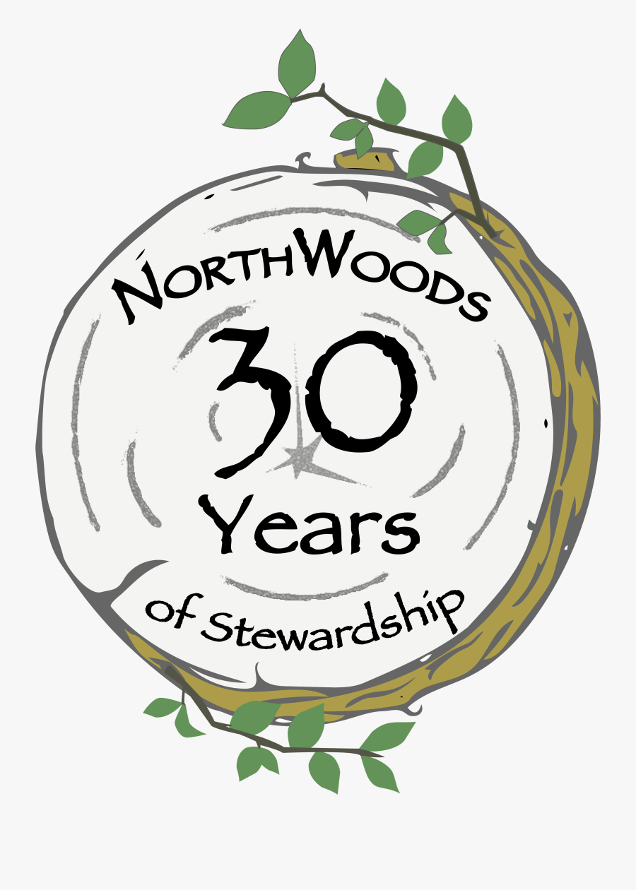 Circle, Transparent Clipart