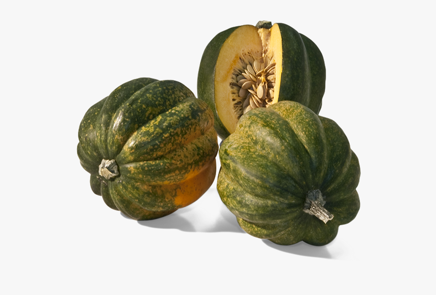 Acorn Squash Transparent Background - Squash Transparent Png, Transparent Clipart