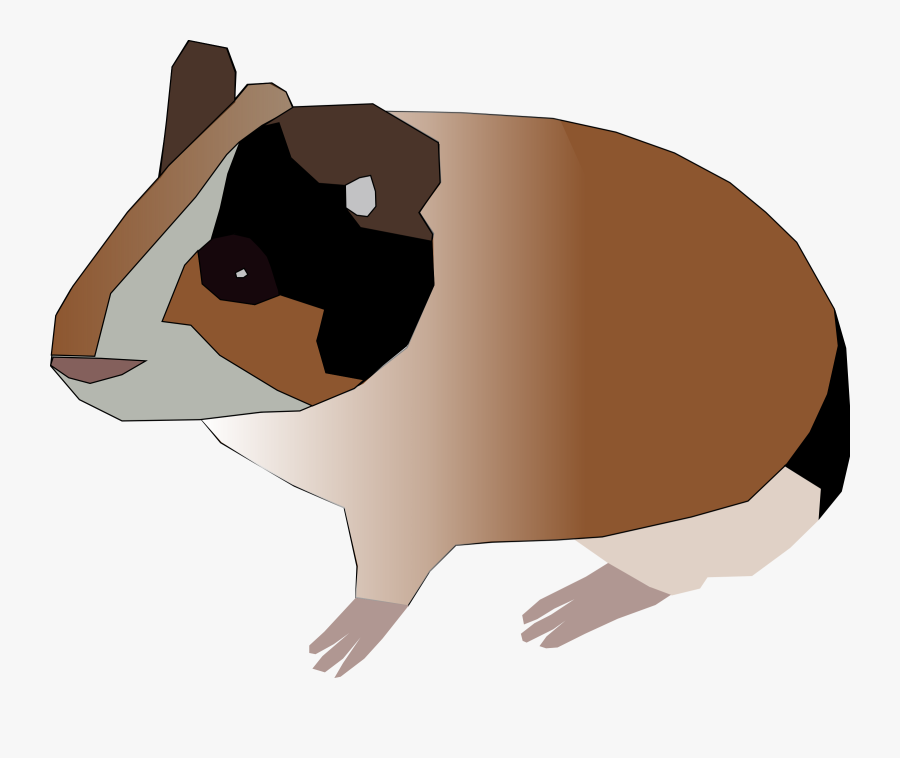 Guinea Pig Clip Art, Transparent Clipart