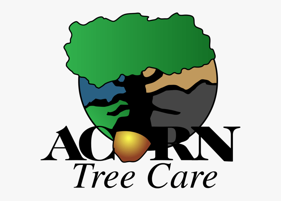 Acorn Tree Care Llc, Transparent Clipart